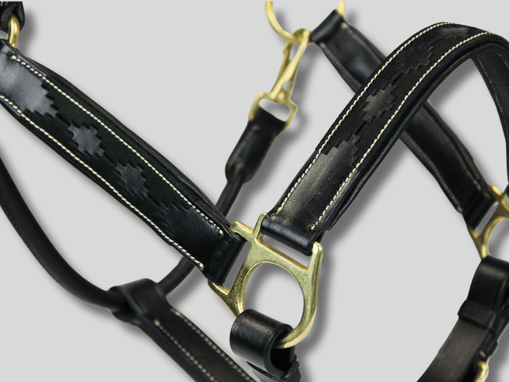 MTB Equestrian - Leren Halster Polo Zwart - Halster