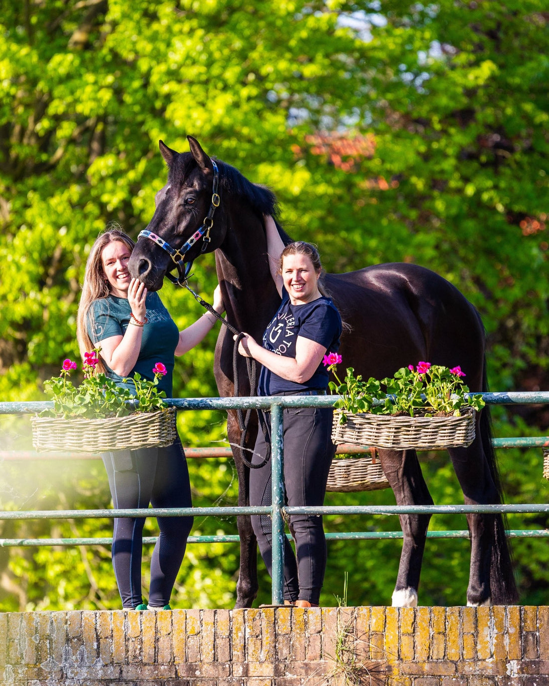 Het perfecte cadeau… binnenkort verkrijgbaar 🎁 - MTB Equestrian