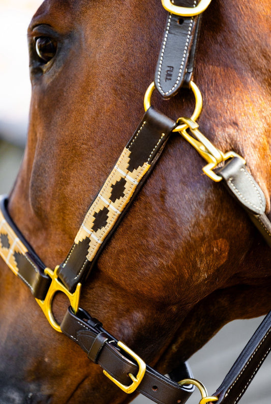 Veilig vervoer begint met het juiste halster - MTB Equestrian
