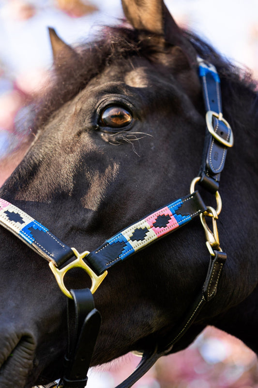 Waarom Leren Halsters Niet Schuren bij Paarden - MTB Equestrian