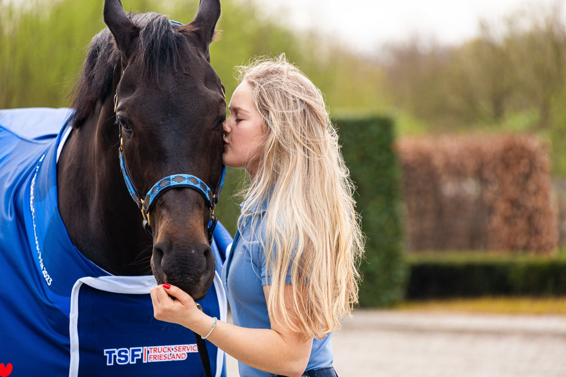 Welk halster past bij jouw paard? Tips voor maat, materiaal en comfort - MTB Equestrian