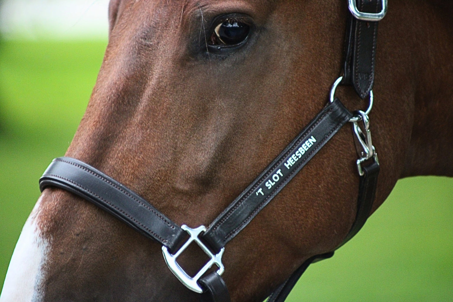 Personalisatie - MTB Equestrian