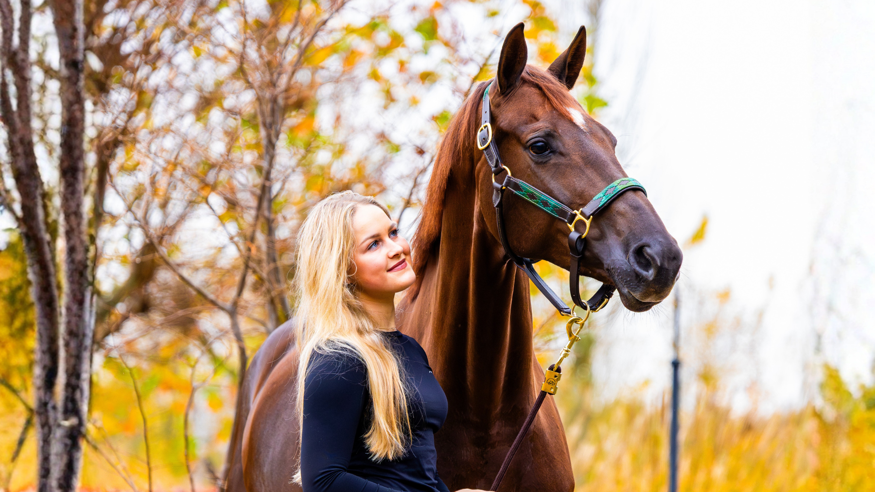 Leren paarden halster polo print