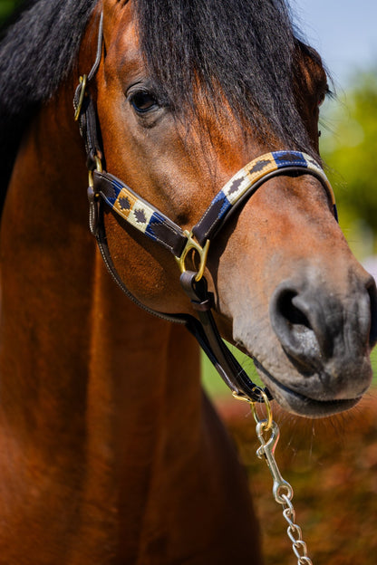 MTB Equestrian - Blueblood Heritage – Polo Halster - Halster