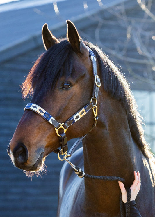 MTB Equestrian - Blueblood Heritage – Polo Halster - Halster