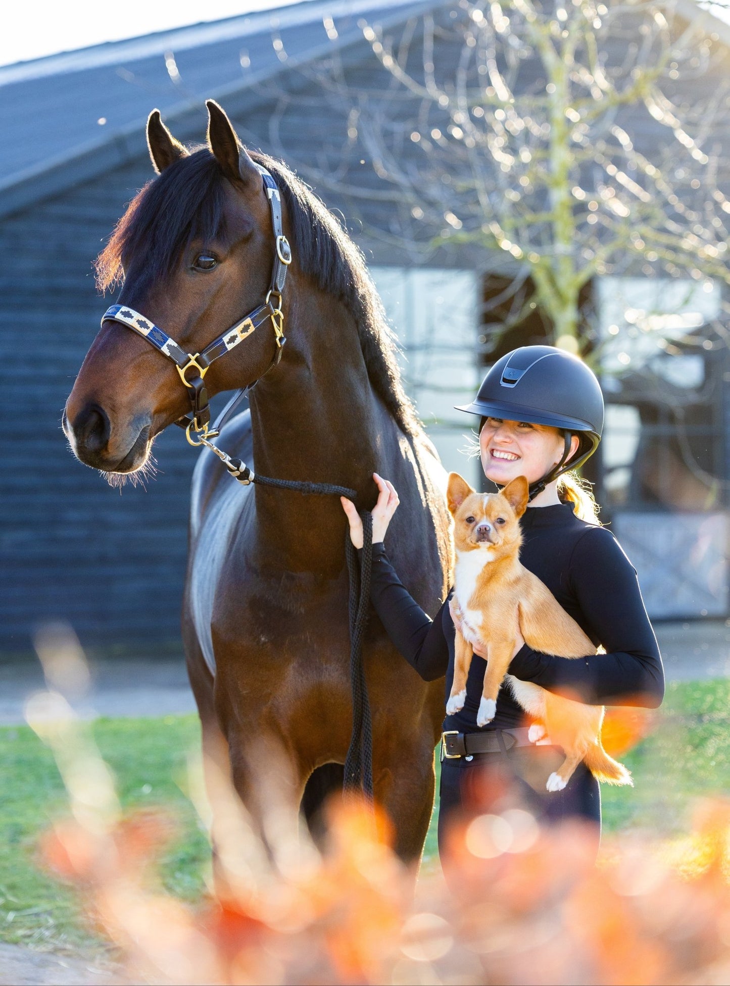 MTB Equestrian - Blueblood Heritage – Polo Halster - Halster