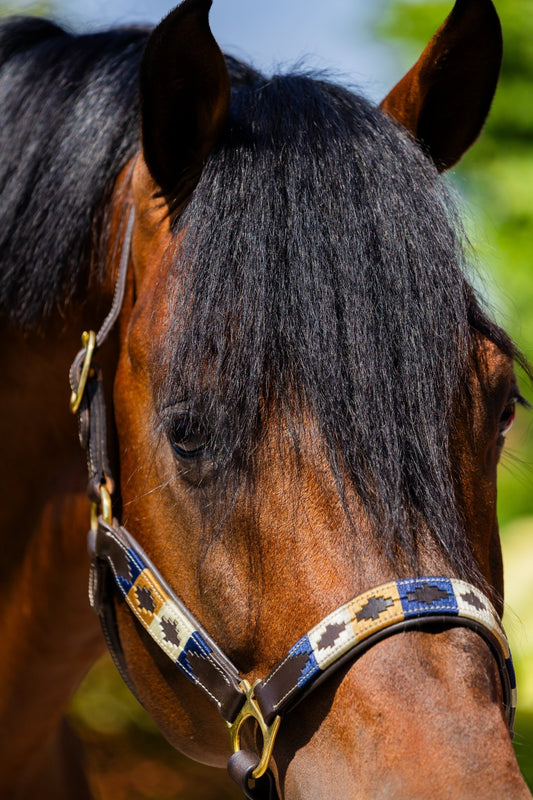 MTB Equestrian - Blueblood Heritage – Polo Halster - Halster