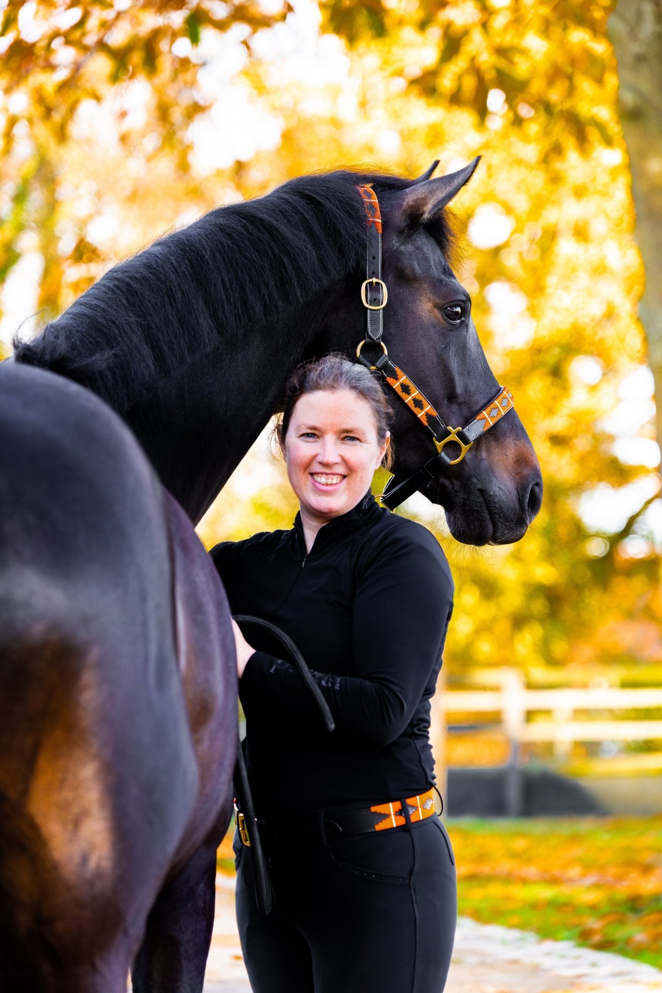 MTB Equestrian - Flaming Hot – Polo Halster - Halster