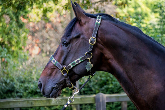 Gepersonaliseerde Hanger | MTB Equestrian