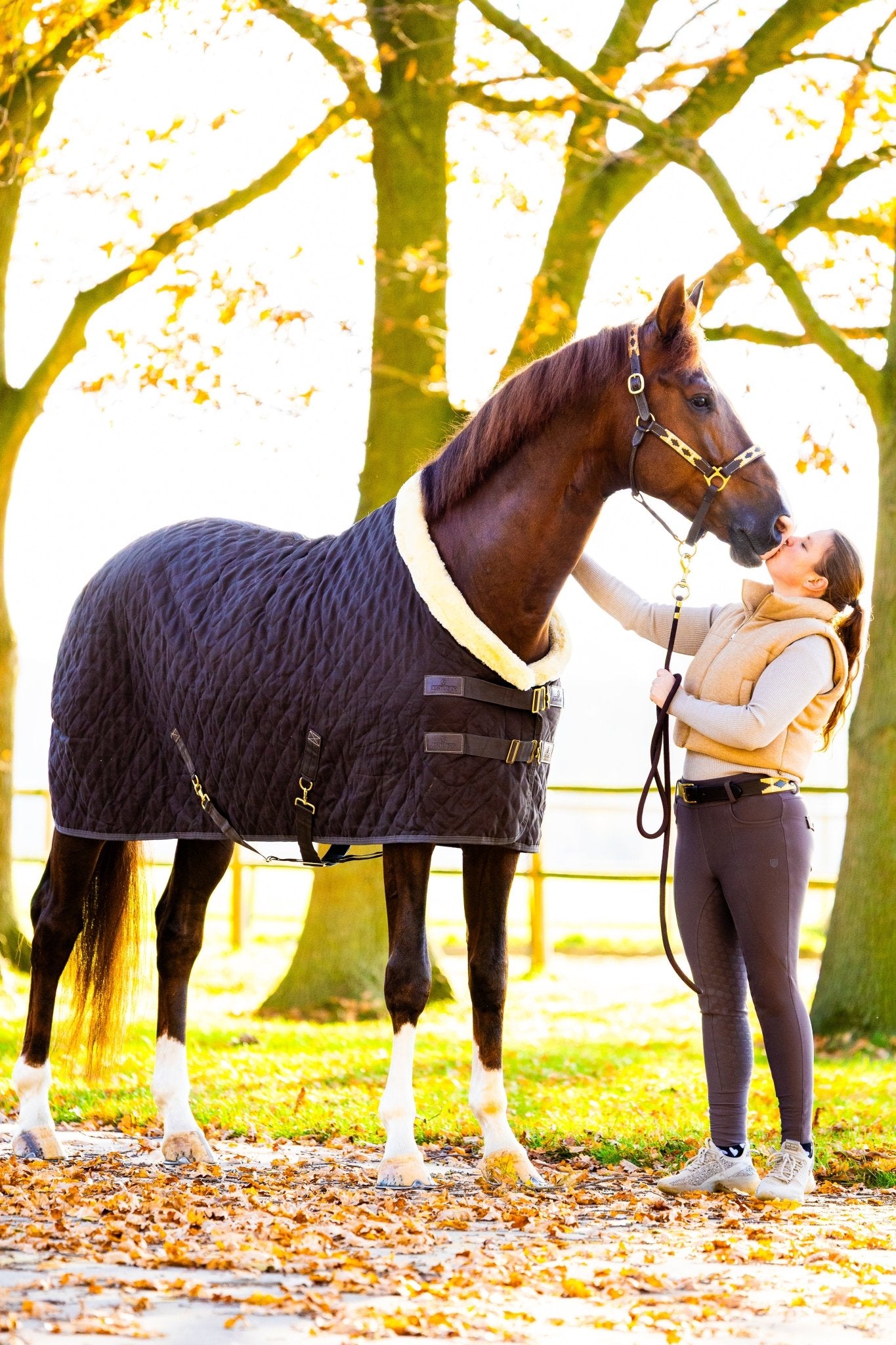 MTB Equestrian - Golden Goddess – Polo Halster - Halster