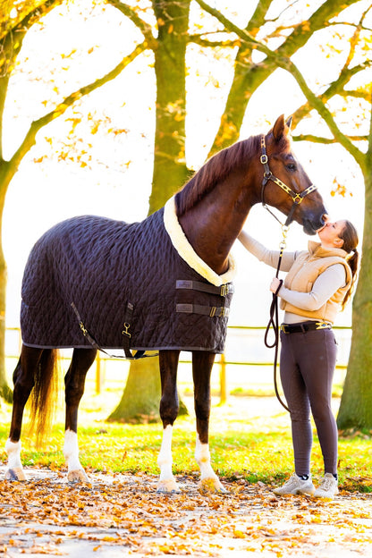 MTB Equestrian - Golden Goddess – Polo Halster - Halster