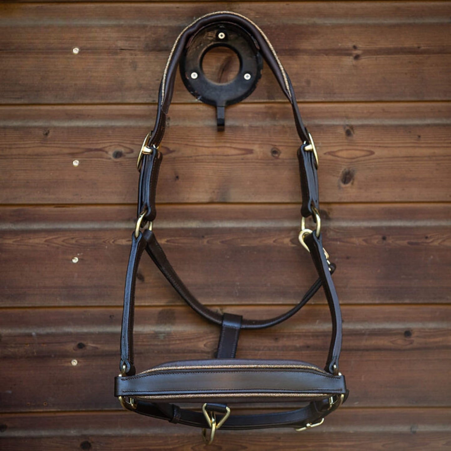 MTB Equestrian - Leren Halster Glitter Goud - Halster