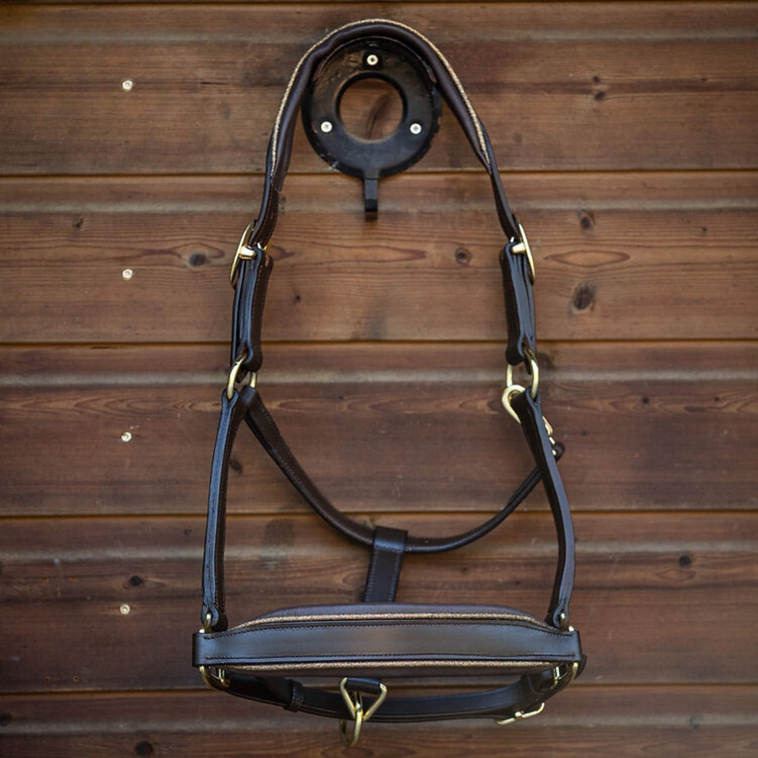 MTB Equestrian - Leren Halster Glitter Goud - Halster