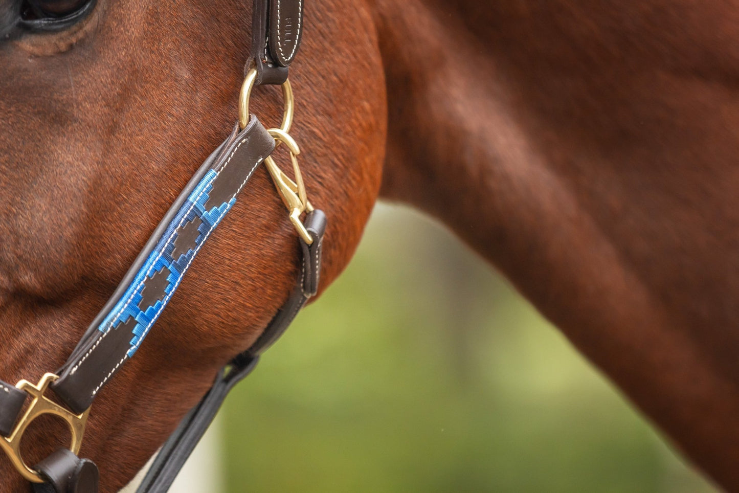 MTB Equestrian - Leren Halster Polo Blauw - Halster