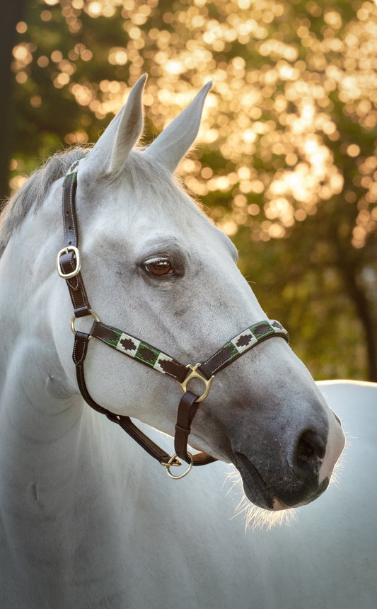 MTB Equestrian - Leren Halster Polo Groen wit - Halster
