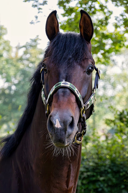 MTB Equestrian - Leren Halster Polo Groen wit - Halster