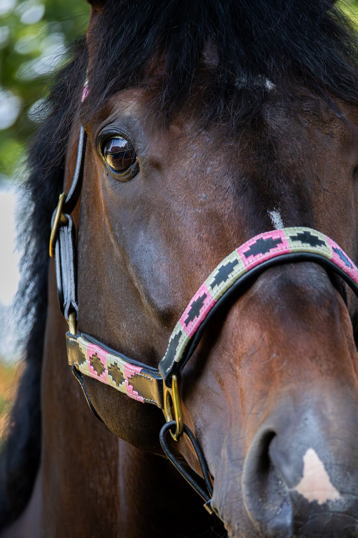 MTB Equestrian - Leren Halster Polo Roze Wit - Halster