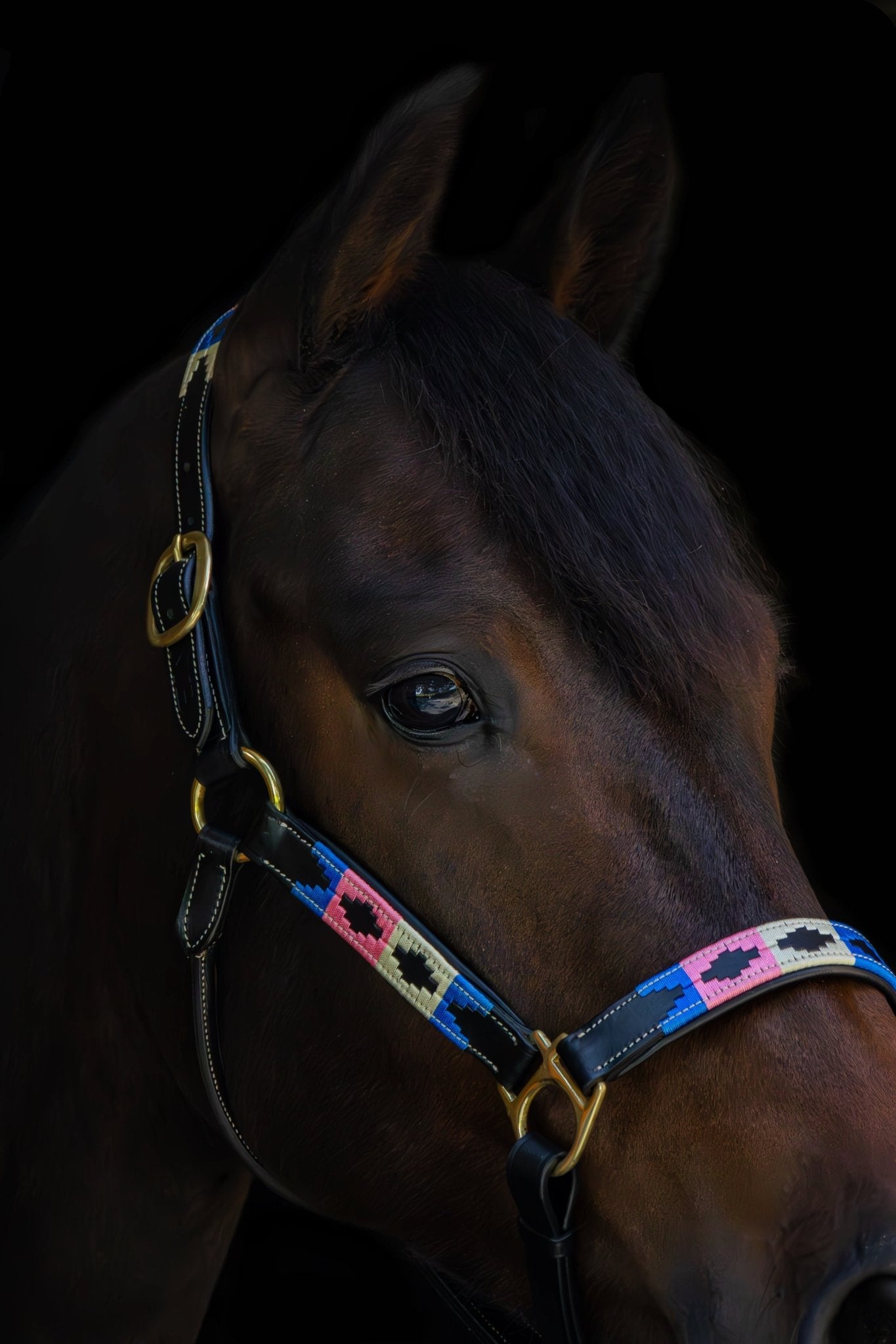 MTB Equestrian - Leren Halster Polo Roze Wit Blauw - Halster