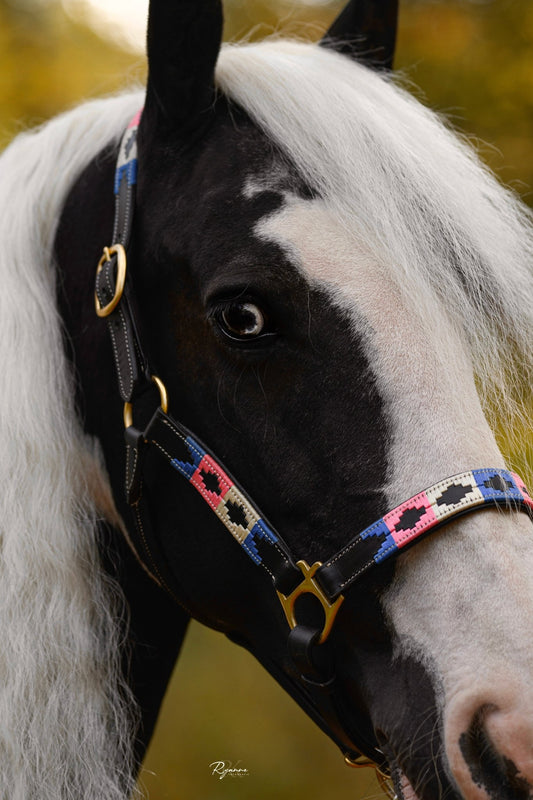 MTB Equestrian - Leren Halster Polo Roze Wit Blauw - Halster