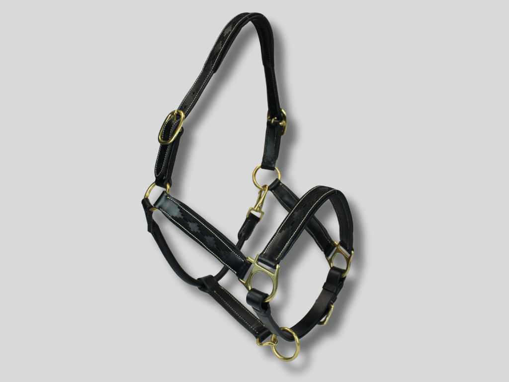 MTB Equestrian - Leren Halster Polo Zwart - Halster