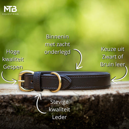 MTB Equestrian - Leren Honden Halsband Bruin - Halsband