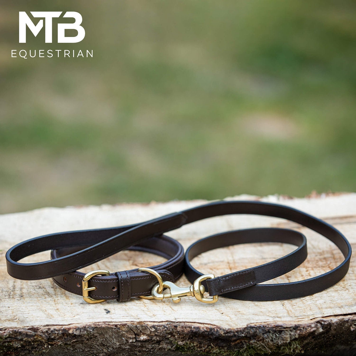 MTB Equestrian - Leren Honden Halsband + Lijn (set) - Halsband