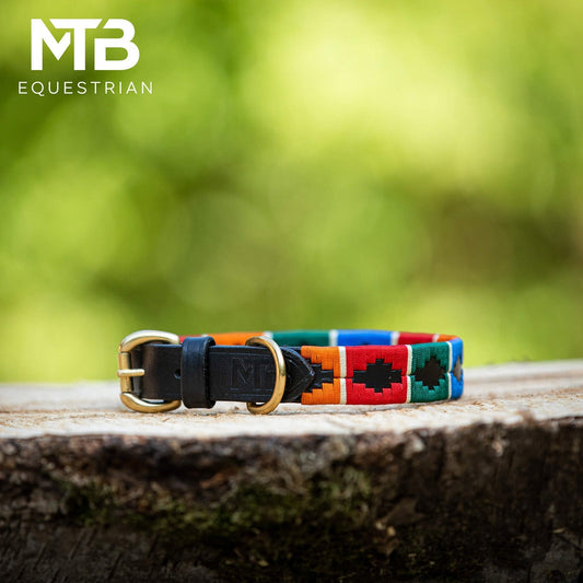 MTB Equestrian - Leren Honden Halsband Polo Multicolour - Halsband