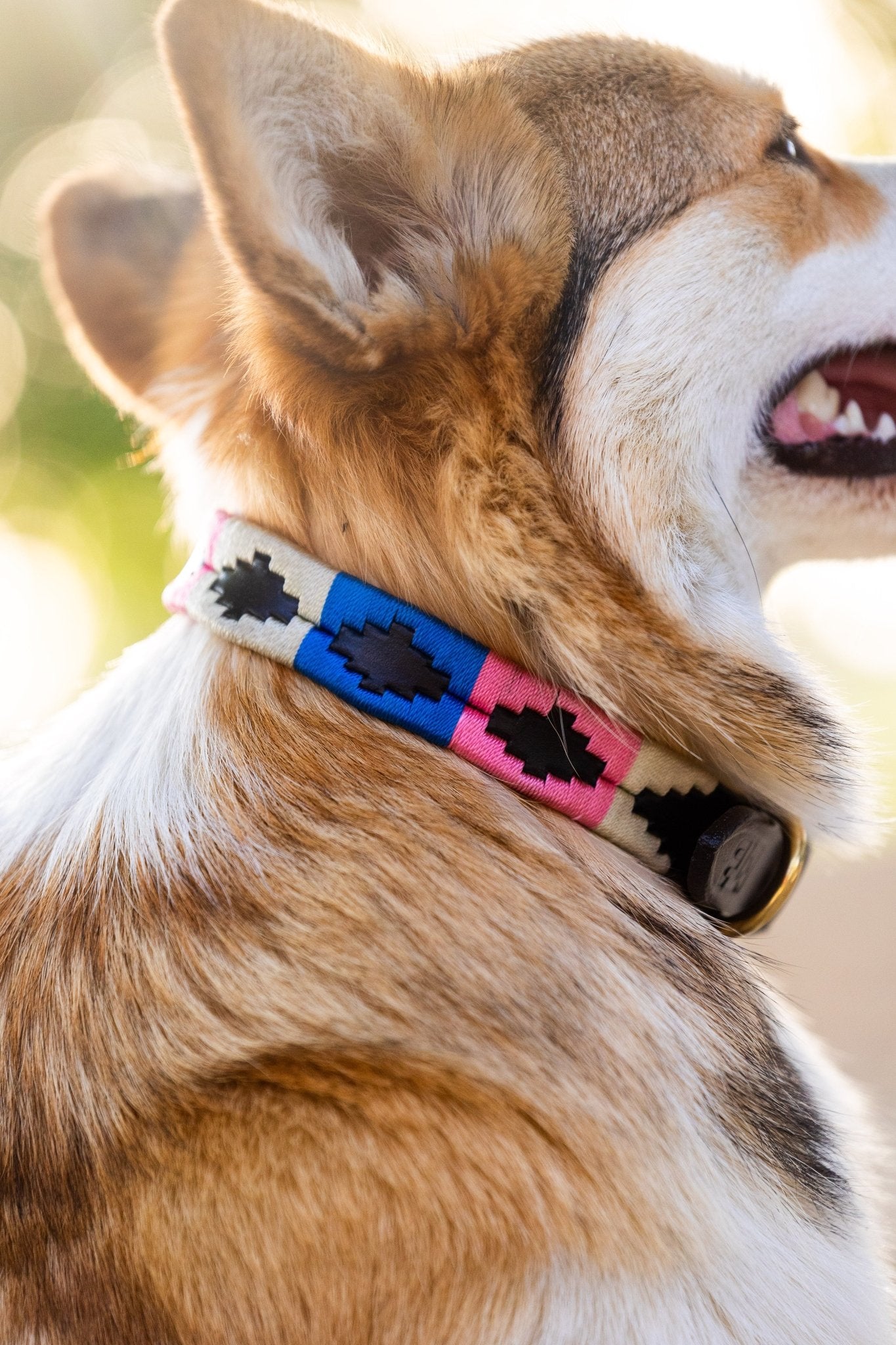 MTB Equestrian - Leren Honden Halsband Polo Roze Wit Blauw - Halsband