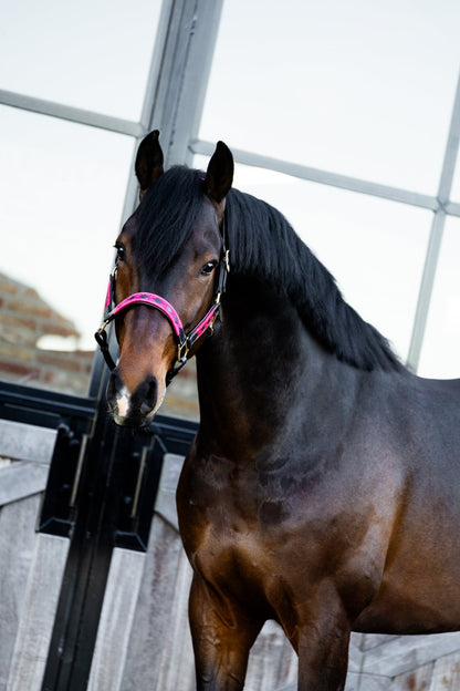 MTB Equestrian - Pink Royale – Polo Halster - Halster