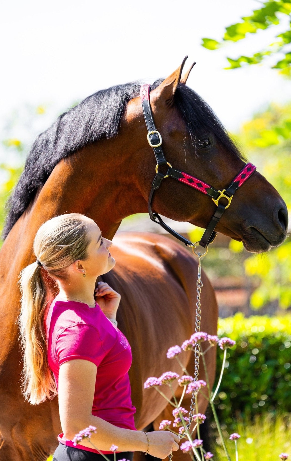 MTB Equestrian - Pink Royale – Polo Halster - Halster