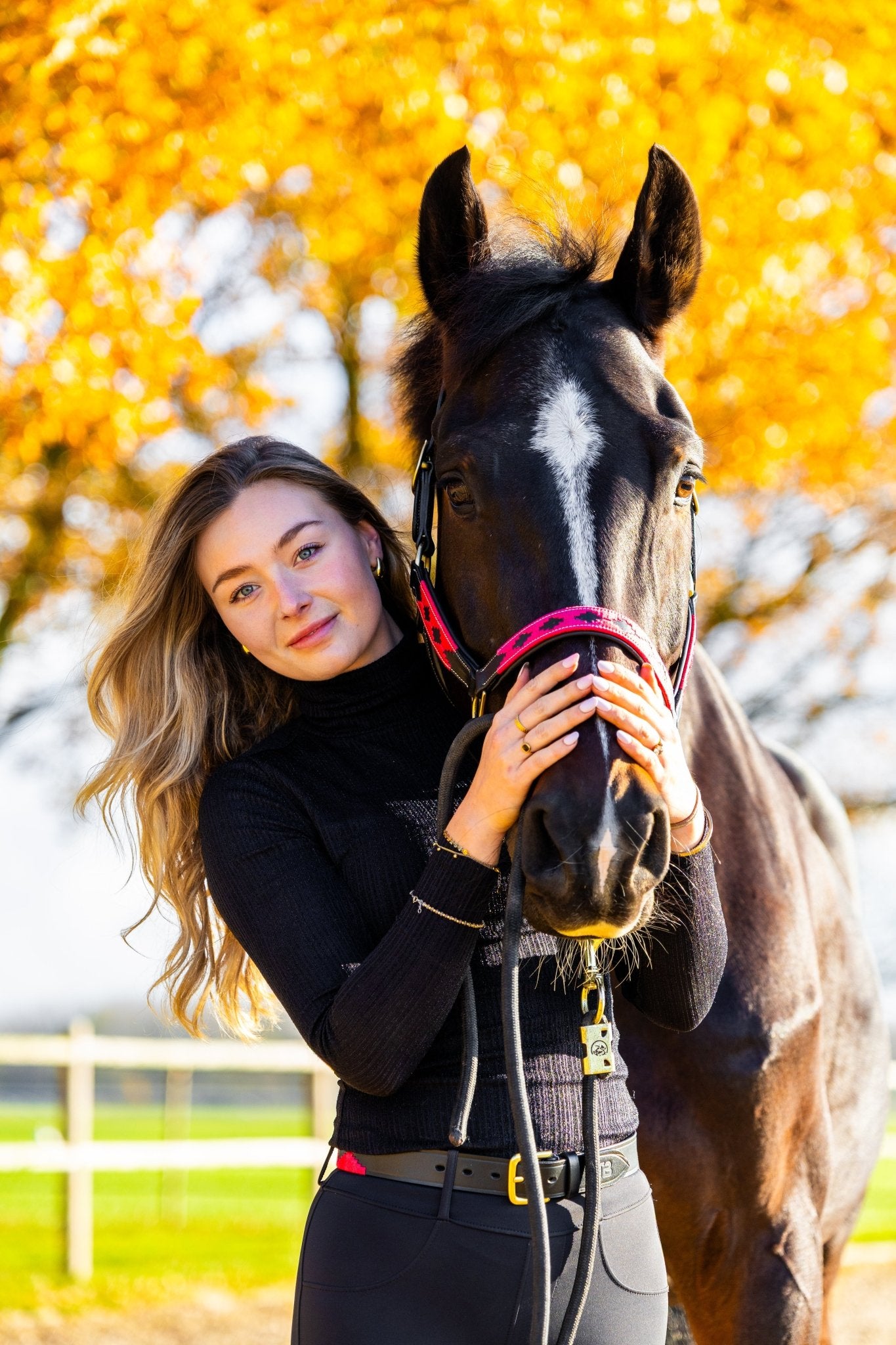 MTB Equestrian - Pink Royale – Polo Halster - Halster