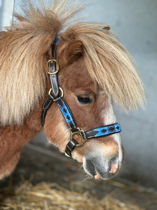 MTB Equestrian - Shetlander Halster Polo - Halster